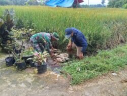 Babinsa Desa Kalimanis Dampingi Program TNI Manunggal Air untuk Pengairan Sawah Warga
