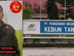 Sekjen LSM TriNusa Soroti Bobroknya Kinerja Kebun Tanah Raja. 