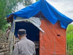 Gelar GSN, Polsek Sunggal Bakar Barak dan Gubuk Narkoba di Jln Perintis Kemerdekaan Ds Sei Semayang Kec.Sunggal DS