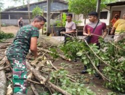 Anggota Koramil 0808/06 Srengat Bersama Warga, Polsek Dan BPBD Gotong Royong Bersihkan Pohon Tumbang Di Desa Purwokerto