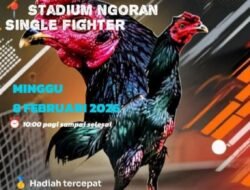 Berkedok Turnamen!!! Judi Sabung Ayam di Desa Ngoran Blitar Berjalan Lancar Tanpa Hambatan APH