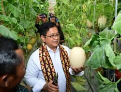 Wamen Viva Yoga Dorong Kawasan Transmigrasi Sebagai Sentra Pertumbuhan UMKM