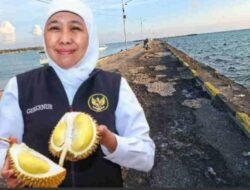 Gubernur Khofifah saat pamer durian dan kondisi memprihatinkan jalan Pelabuhan Masalembu yang dibiarkan rusak bertahun-tahun tanpa perbaikan yang menjadi kewenangan Pemprov Jatim
