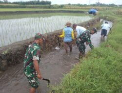 Sinergi Babinsa Dan Masyarakat Desa Pojok Bersihkan Irigasi Demi Pertanian Lancar