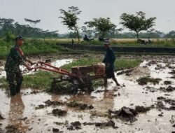 Dukung Swasembada Pangan, Babinsa Pohgajih Aktif Dampingi Petani Siapkan Lahan Sawah