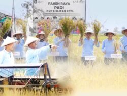 Sinergi Muspida Kota Blitar dalam Panen Raya, Wujudkan Kemandirian Pangan Daerah