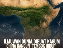 ILMUWAN DUNIA DIBUAT KAGUM, CHINA BANGUN “TEMBOK HIDUP” SEPANJANG 4.500 KM DARI POHON UNTUK HENTIKAN GURUN YANG TERUS MENELAN DESA DAN LADANG