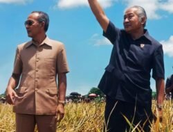 Saat Soeharto Perintahkan ABRI Perangi Hama Tikus demi Selamatkan Swasembada Beras