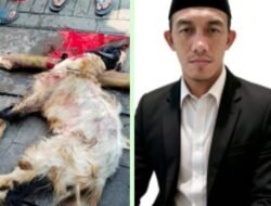 Jaga Sunnah dan Kebersamaan, Redaksi Harian Mata Berita Sembelih Hewan Qurban