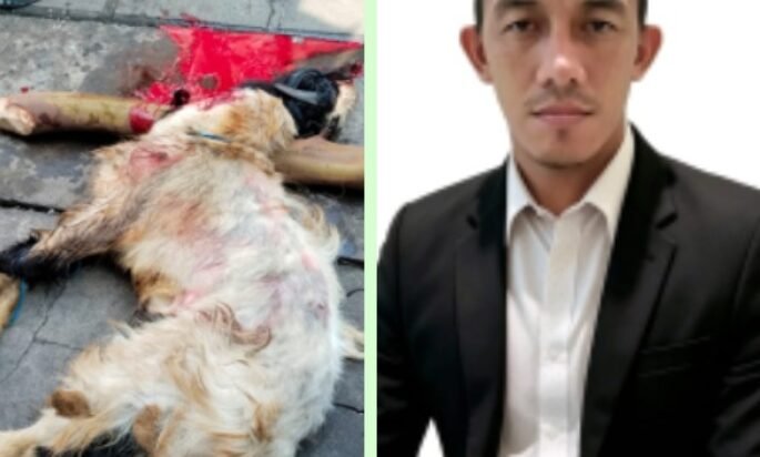 Jaga Sunnah dan Kebersamaan, Redaksi Harian Mata Berita Sembelih Hewan Qurban