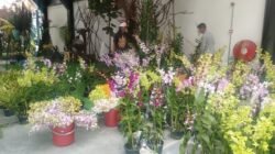 Pameran Anggrek Tidak Bawa Anggrek Tapi Bendera Merah Putih, Ada Apa?