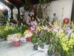 Pameran Anggrek Tidak Bawa Anggrek Tapi Bendera Merah Putih, Ada Apa?