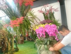 Bawa Merah Putih ke Panggung Dunia, Duta Indonesia Tetap Promosikan Anggrek Indonesia