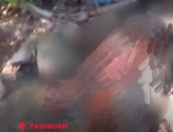 Warga Sumbergentong Geger, Mayat Pria Tanpa Identitas Ditemukan di Aliran Sungai
