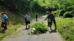Sinergi Tanpa Batas, Babinsa Sidorejo Bersama Warga Bersihkan Rumput Tebing Demi Keselamatan Penguna Jalan