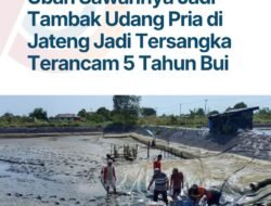 Alih Fungsi Sawah Dipidana, Bagaimana Jika Digunakan untuk Jalan?