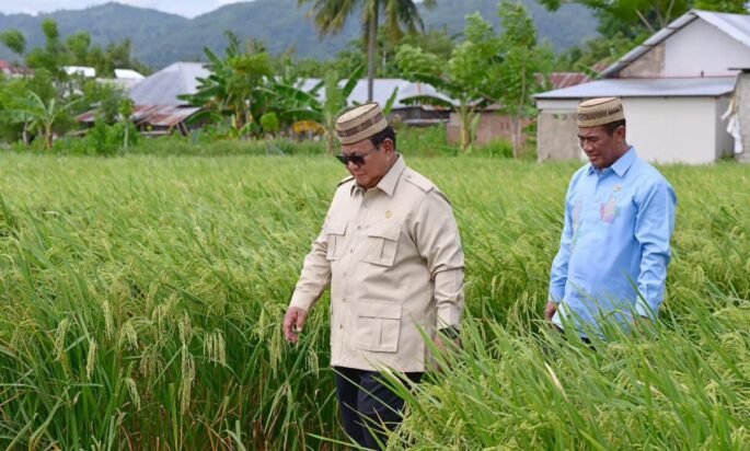 Pertanian yang modern dan produktif menjadi modal penting menuju swasembada pangan.