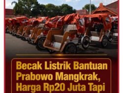 Program becak listrik yang dibiayai dana pribadi Presiden Prabowo Subianto menuai sorotan tajam usai warga melaporkan unitnya tak bekerja maksimal.