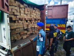 TNI AL Perketat Pengawasan Pengiriman Kayu Ilegal Berhasil Di gagalkan .
