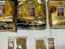 Duet Oknum Brimob dan Oknum TNI AL Selundupkan Narkoba Sabu Sekitar 5 Kilogram dan 202 Pil Ekstasi