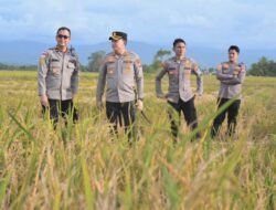 Kapolda Aceh Hadiri Panen Raya Padi di Pidie, Wujud Sinergi TNI-Polri Dukung Swasembada Pangan Nasional