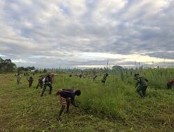 Satgas Yonif 123/Rajawali dan Warga Gotong Royong Sambut HUT Ke-81 RI, Perkuat Nasionalisme di Distrik Suator