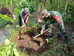 Lestarikan Lingkungan, Serda Budiono Bersama Poktan Sidodadi Tanam Pohon Melalui Aksi Bersatu Dengan Alam