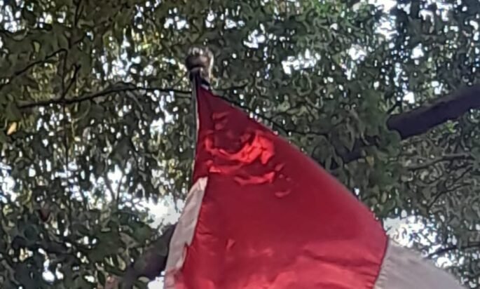 Jelang HUT ke-81 RI, Bendera Merah Putih Lusuh dan Robek Masih Berkibar di Halaman Gudang PLN