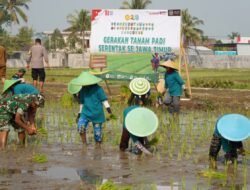 Dukung Swasembada Pangan, Koramil 12/Wlingi dan Poktan Abadi Gelar Tanam Padi Serentak Merdeka