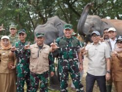 Way Kambas Menuju Benteng Konservasi Moderen
