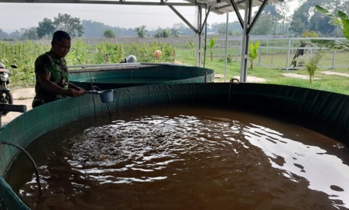 Tingkatkan Ketahanan Pangan, Kompi Produksi Kodim 0808/Blitar Aktif Kelola Pertanian, Peternakan Kambing dan Perikanan
