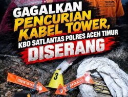 KBO Satlantas Polres Aceh Timur Diserang Saat Gagalkan Pencurian Kabel Tower, Pelaku Berhasil Ditangkap