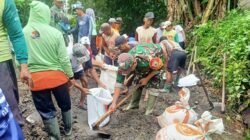 Wujud Nyata Ketahanan Pangan, Babinsa Kelurahan Tanggung Bersama Petani Gotong Royong Perbaiki Saluran Irigasi