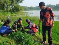 Telaga Mojorejo Makin Asri, Babinsa Bersama Komunitas Dan Pelajar Gelar Aksi Penghijauan