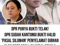 DPR Sudah Kantongi Bukti V4lid ‘Pasal Silum4n’ Penyelamat Gibran di Pilpres 2024