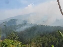 Kebakaran Lahan 2 Hektar di Nogosari Pacet, Gotong Royong Warga dan Staf Wisata Cegah Api Merambah Pemukiman