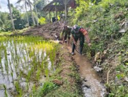 Wujud Kemanunggalan TNI Dan Rakyat, Babinsa Kedungbanteng Bersama Warga Gotong Royong Bersihkan Irigasi Sawah