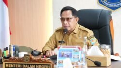 Mendagri Minta Pemda Perkuat Aturan Larangan Pembakaran Lahan dan Maksimalkan Penggunaan Anggaran Karhutla